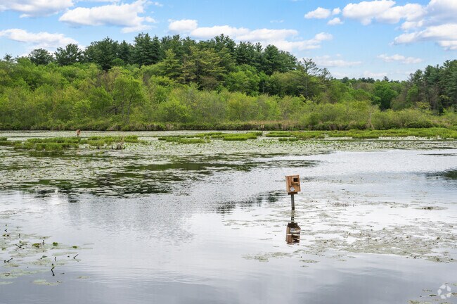 Mass Audubon’s Stony Brook Wildlife Sanctuary in Norfolk offers natural beauty, peaceful walks, and a haven for local wildlife.