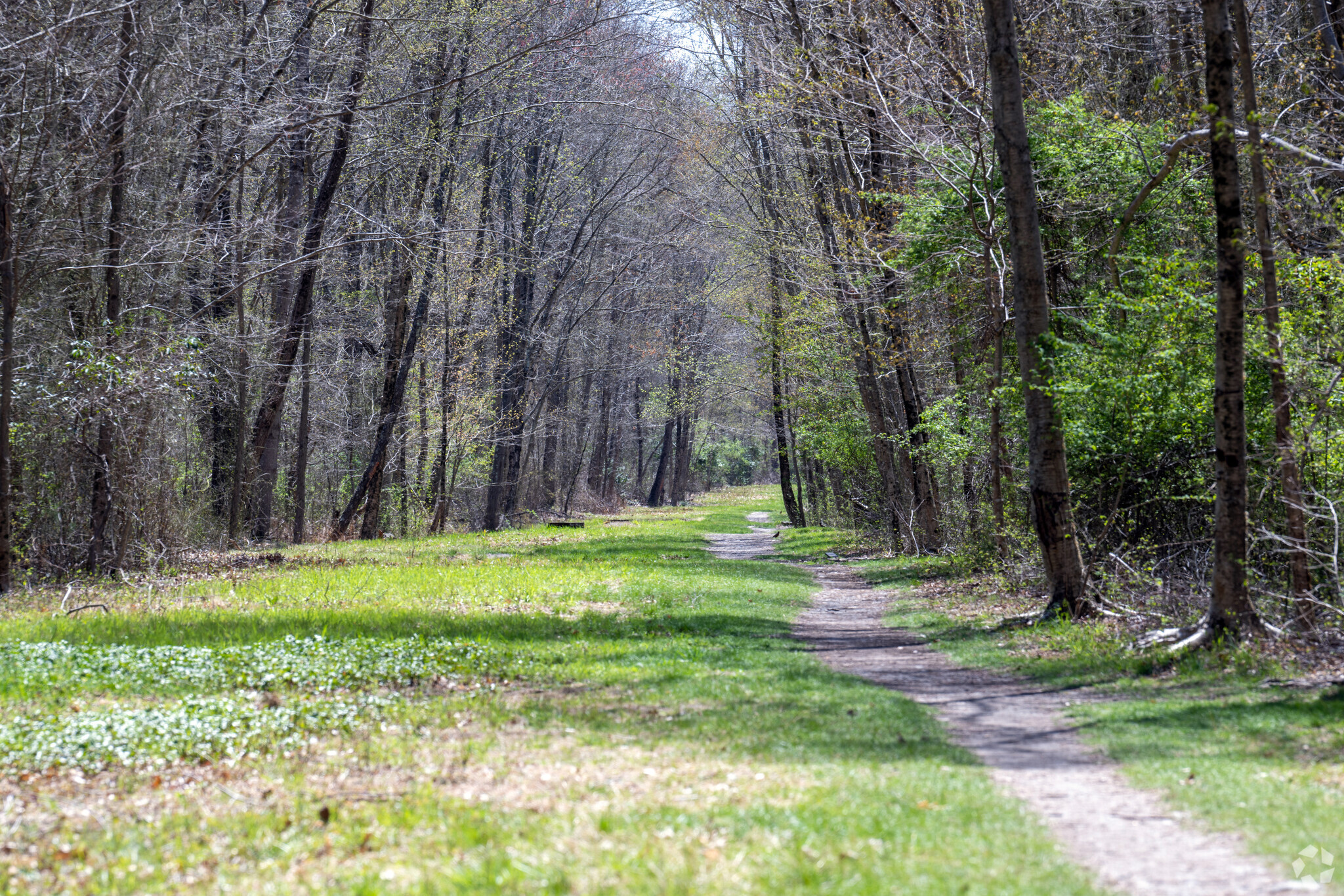 A walking trail through the conservation land off Kent Street in the Hampden Meadows Neighborhood is sometimes called the Backwoods Playground.