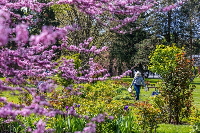 Volunteers take care of the beautiful rose gardens in West Bethlehem.