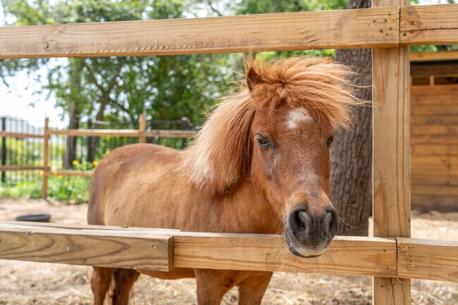 The Breeze Ranch offers guided rides and a spring‑fed creek experience.