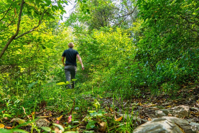 Locals head to Homewood Nature Preserve to enjoy the natural beauty of the area.