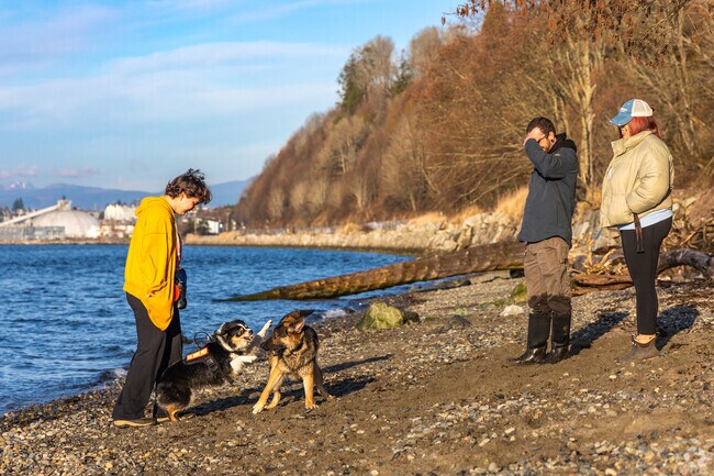The off-leash area at Howarth Park lies on the beach in Harborview-Seahurst-Glenhaven.