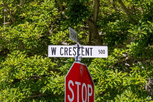 W Crescent Dr is lined with grand home designs in the Crescent Park neighborhood.