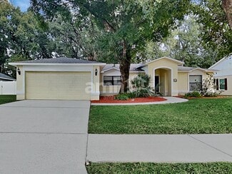 234 Bryan Oak Ave, Brandon, FL 33511