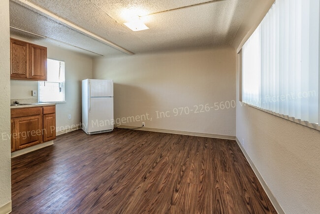 161 S Lincoln Ave unit 6, Loveland, CO 80537 - photo 6