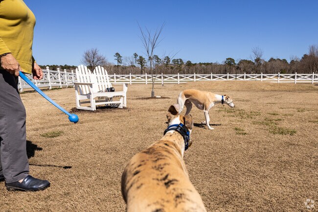 Albemarle Plantation residents enjoy a community-built dog park, perfect for outdoor fun with pets.