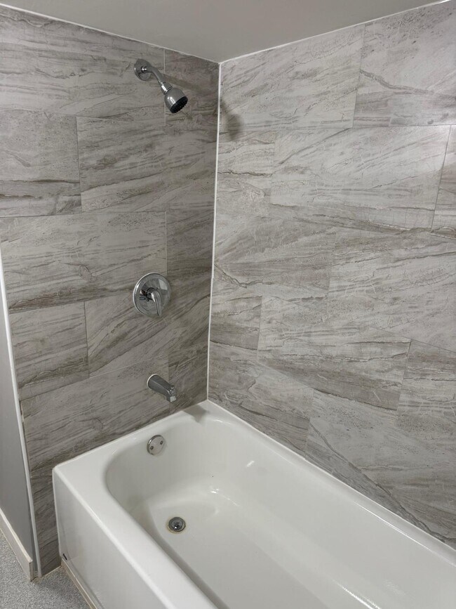 2132 S Harding Ave unit Basement, Chicago, IL 60623 - photo 3