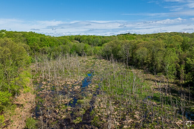 Escape into nature at the Lippitt Estates Conservation Area, where quiet trails and natural beauty are just steps from home.