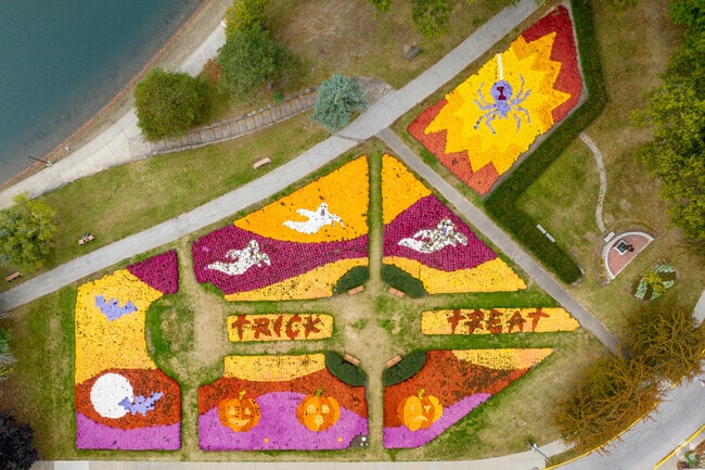 New designs are created every year at the Barberton Mum Festival at Lake Anna.