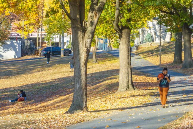 Paths meander through City Park offering a quiet place for a stroll.