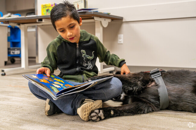 Children bond with furry friends while reading their favorite books near Farr.