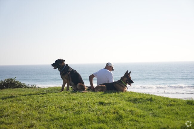 Locals spend time with their pets at Palisades Park.