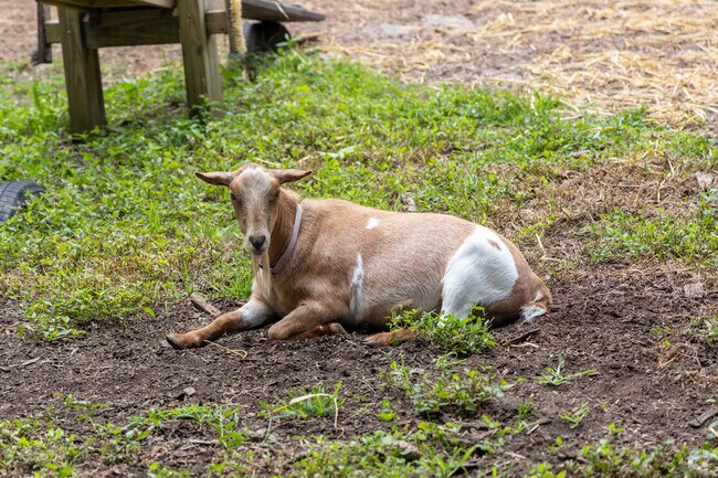 The Greenburgh Nature Center in Greenville Westchester is a great way for kids to learn about animals.