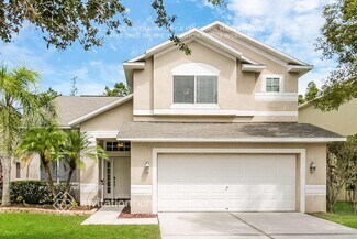 19319 Sandy Springs Cir, Lutz, FL 33558