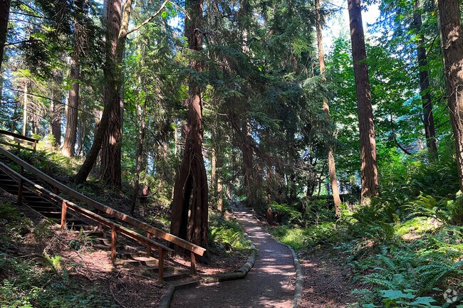 Woodland at Forest Park.