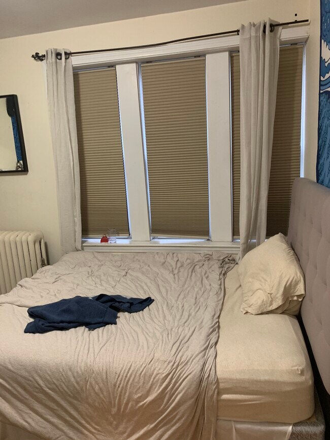 54 Egmont St unit 2, Brookline, MA 02446 - photo 5