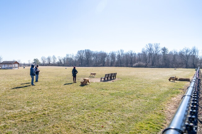 The Gordon Gilmer Dog Park in Snacks/Guion Creek is a very large park to let your dog play.
