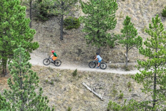 Exploring Mount Ascension's trails by bike offers a peaceful escape into nature.