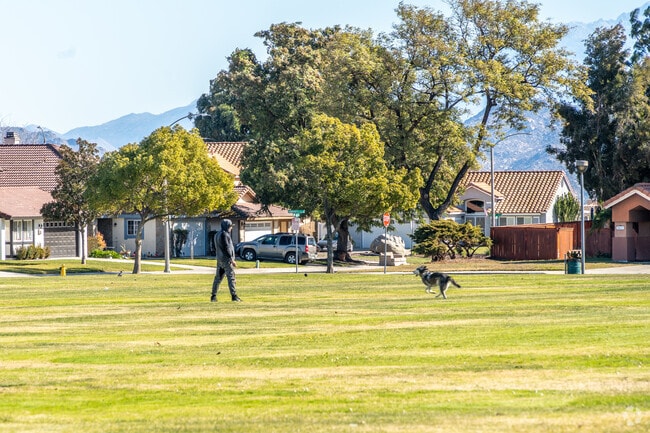 Expansive grass fields at Thundersky Park are perfect for your dog.