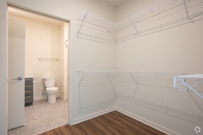 2BR, 2BA - 911SF - Closet