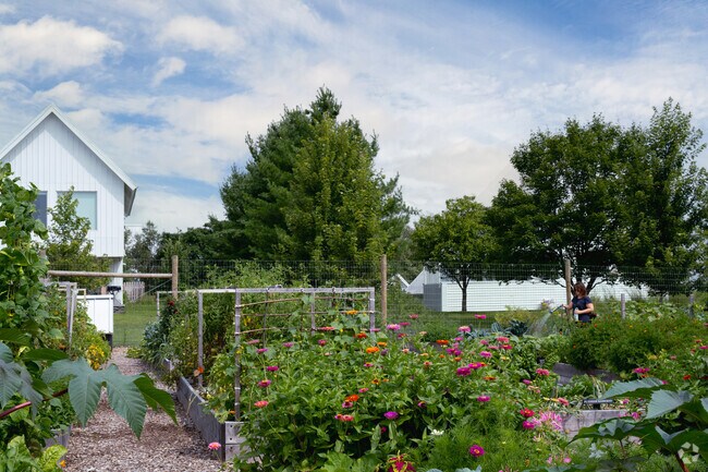 Residents take pride in their hard work in Marine’s community garden.