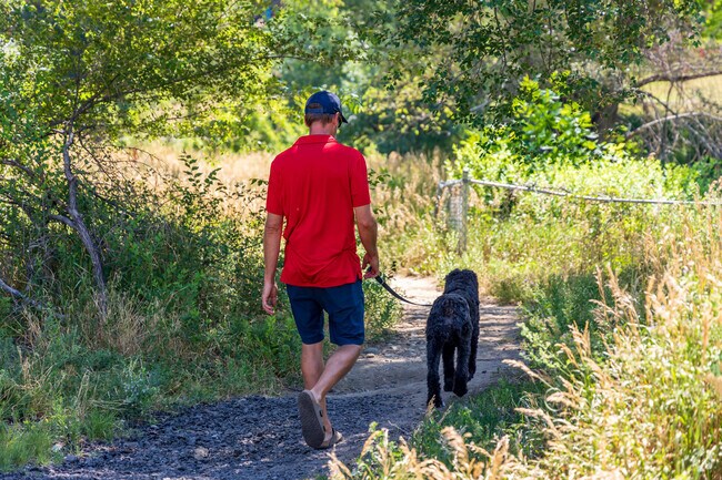 Dog owners appreciate the dirt trails along the Clear Creek Trail.