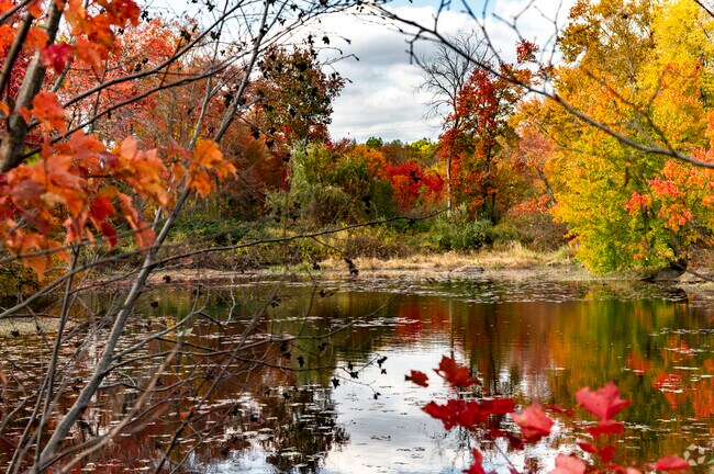 Flanders Nature Center & Land Trust pond walk is a local favorite.