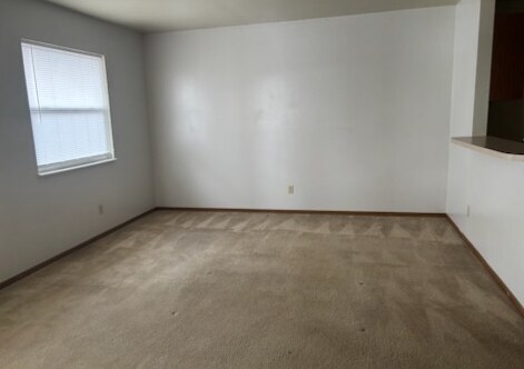 116 Sandstone Ct, Hillsboro, MO 63050 - photo 6