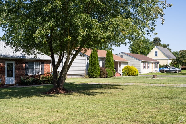 Mature trees and generous lawns are a hallmark of Piney Knolls.