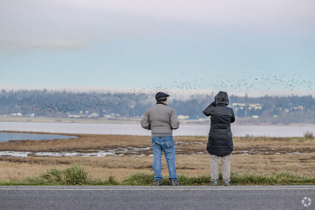Locals take in the starling murmuration during sun set near Oak Harbor on Whidbey Island WA.