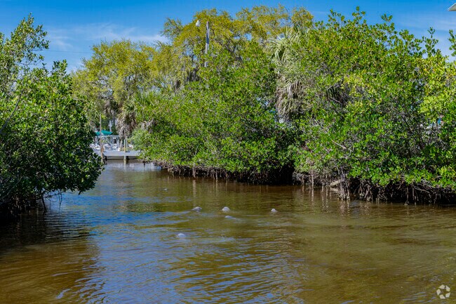 Kayak or paddle board alongside manatee and explore the shallow water areas in Oak Hill.