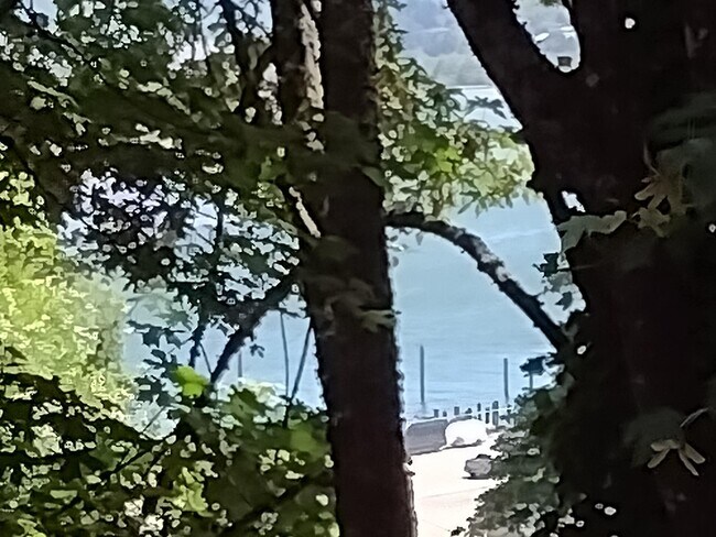 1037 Vine Ave, Coos Bay, OR 97420 - photo 4