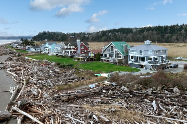 Luxury homes worth millions line a beach strewn with driftwood on Camano Island.