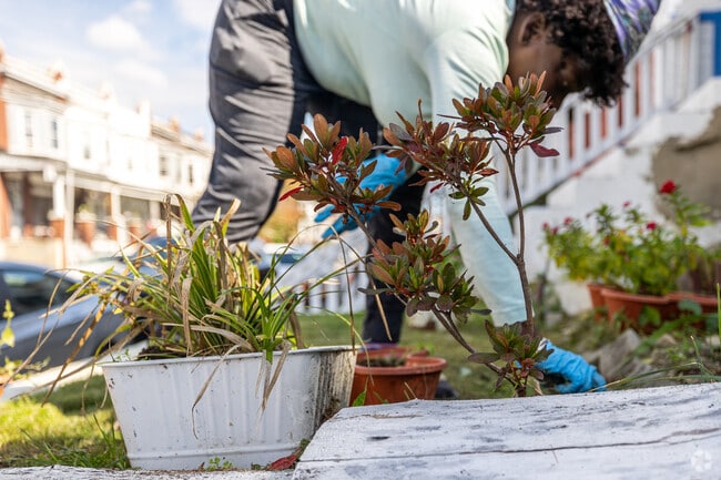 Neighbors in Winchester often work to refresh and beautify their block.