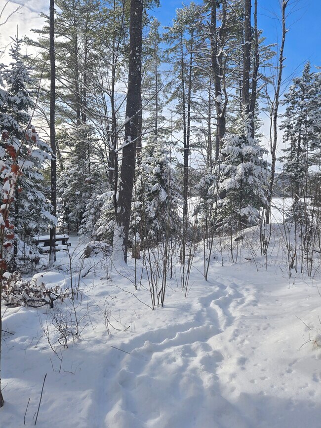 162 Lancaster Rd unit 162 B, Whitefield, NH 03598 - photo 2