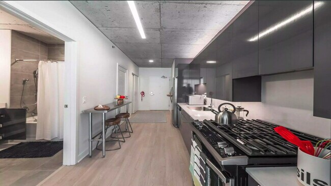 433 N Wells St unit 428, Chicago, IL 60654 - photo 3