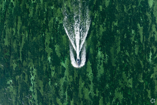 Bullhead City locals love driving their motorboats through the Colorado River.