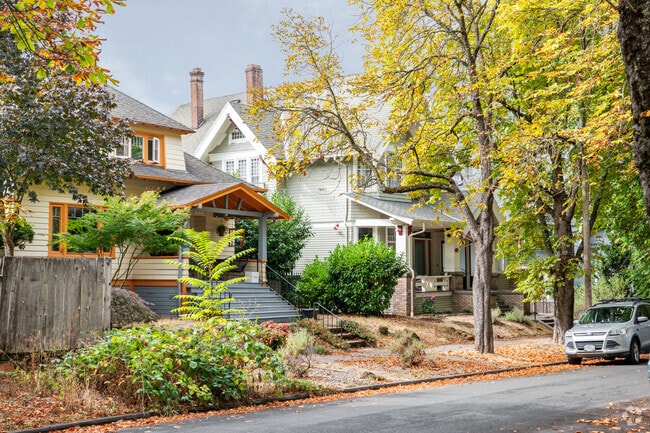 Large beautiful trees shade the homes in the Piedmont neighborhood.