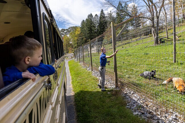 Guided tours through the Wildlife Park at Penn's Cave allow visitors to see & learn about foxes.