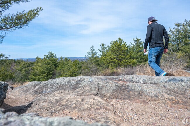 Blue Hills Reservation offers miles of trails with stunning views for Hillside Street residents to explore.