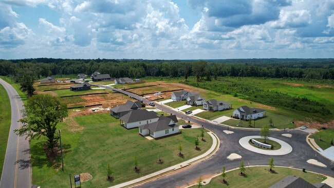 Camellia Drone-2.jpg