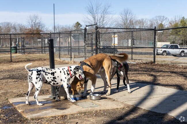 Let those doggies play at the Lexington Manor Passive Park in Lexington Park.