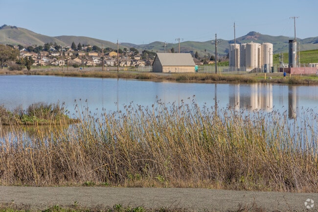 American Canyon's wetlands are being restored to bring back native animals and plants.