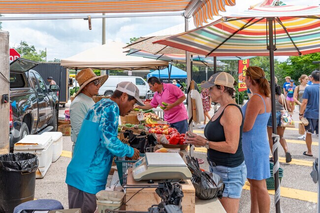 The Venice Farmers' Market is the best place to get local produce on Sunday mornings.