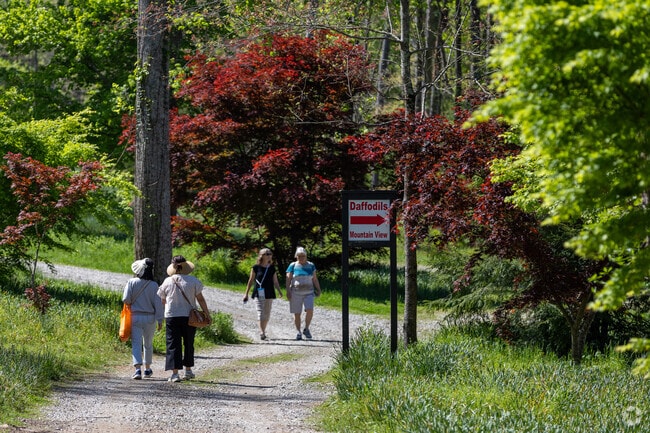 Having a nice stroll with a fiends at the Gibbs Daffodil Garden.