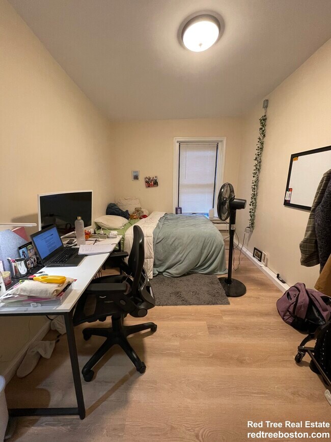 871 Harrison Ave unit 3, Boston, MA 02118 - photo 4