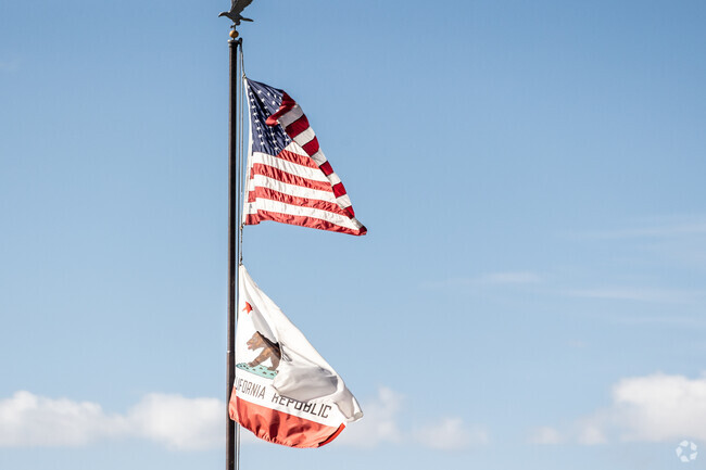 Flags fly high at St. Irenaeus Parish School of Cypress.