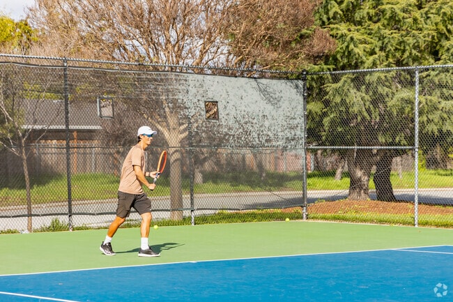 Enjoy a tennis match at Houge Park in Cambrian.