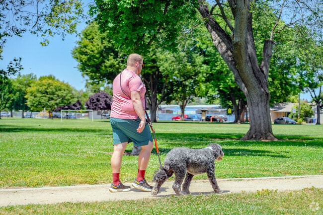 A man walks his dog along the Tahoe Park sidewalk near Sacramento's Med Center.