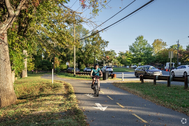 A resident pedals through the tranquil beauty of Old Mill Park in Riverside.